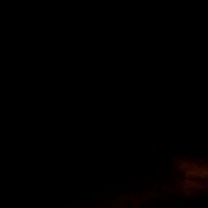 Black and Brown Item